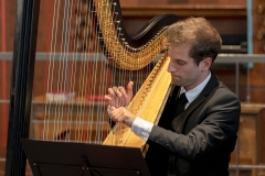 Harpist_AVL5846